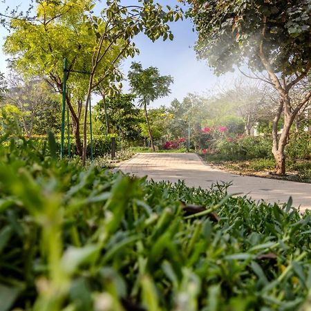 Stay Sensational 3Br Holiday Home Near Burjkhalifa 迪拜 外观 照片